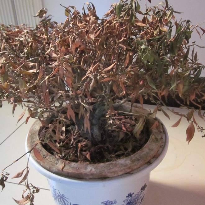 屋”家里有这5种物品一定要尽早处理掉！PG电子麻将胡了2俗话说：“财不入脏(图5)