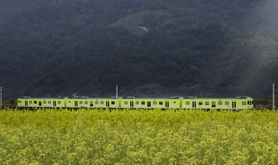 行驶路线、行驶时间、订票方式、车厢特色一次看！｜【旅游攻略】麻将胡了2试玩网站台铁、阿里山林铁观光列车总整理 8大列车(图5)